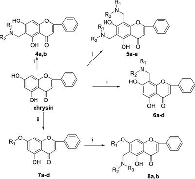 Design, Synthesis, and Activity Assays of Cyclin-Dependent Kinase 1 Inhibitors With Flavone Scaffolds